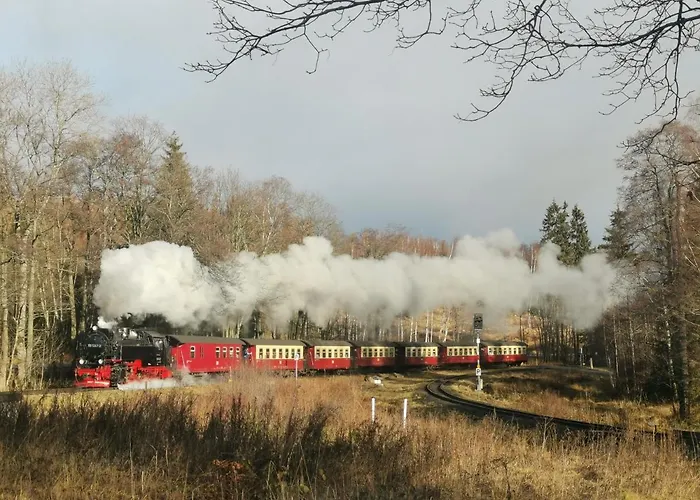 Lägenhet Gemuetliche Moderne Inkl. Wlan In St Andreasberg/braunlange Sankt Andreasberg