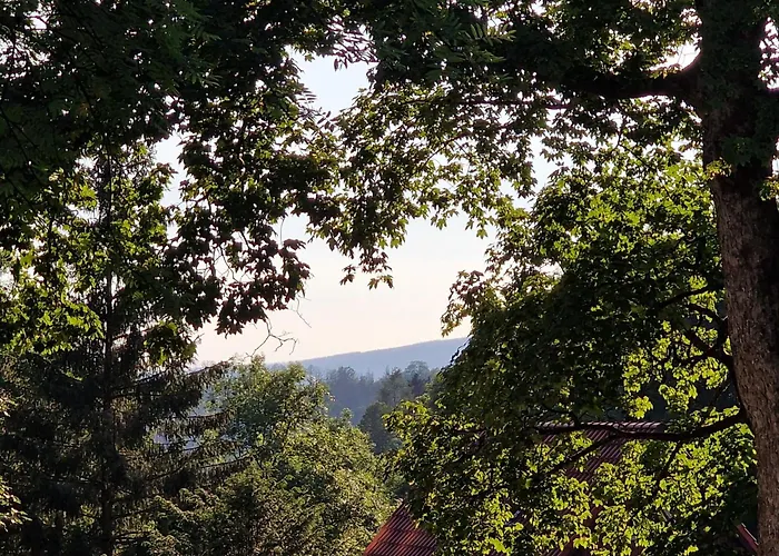 Lägenhet Gemuetliche Moderne Inkl. Wlan In St Andreasberg/braunlange *