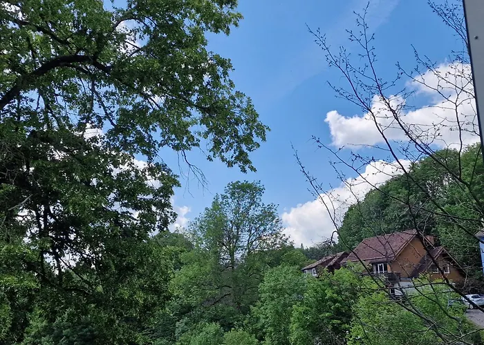 Gemuetliche Moderne Inkl. Wlan In St Andreasberg/braunlange Lägenhet *